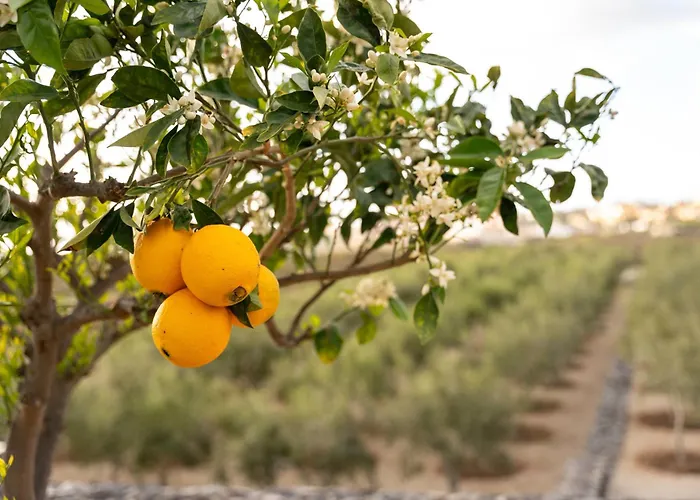 El Vinche Апартаменты *