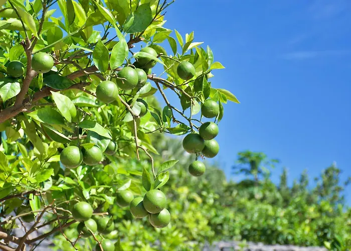 Apartamento El Vinche