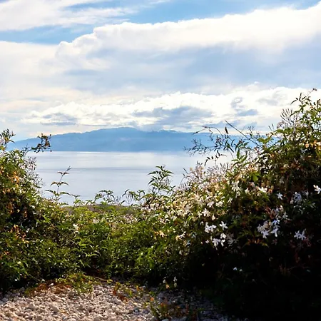 El Vinche * Guia de Isora (Tenerife)