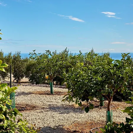 아파트 El Vinche 기아데이소라