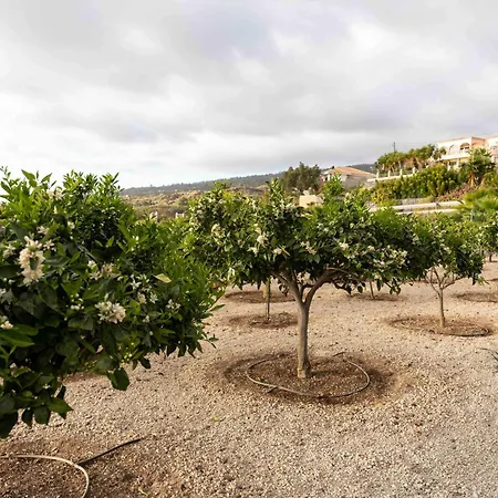 El Vinche Διαμέρισμα Guía de Isora