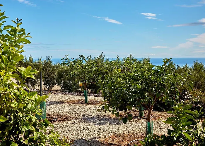 Διαμέρισμα El Vinche Guía de Isora