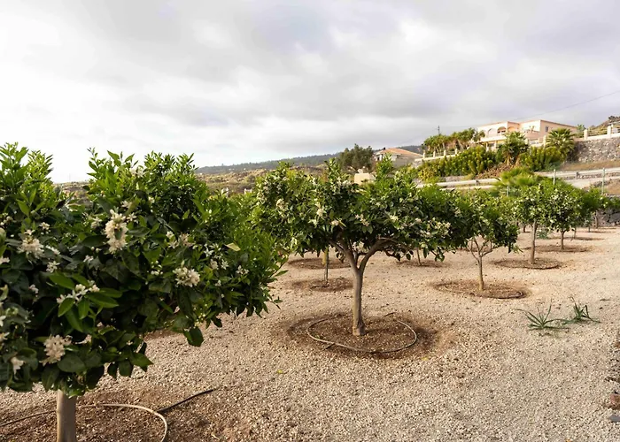 El Vinche Appartement Guía de Isora
