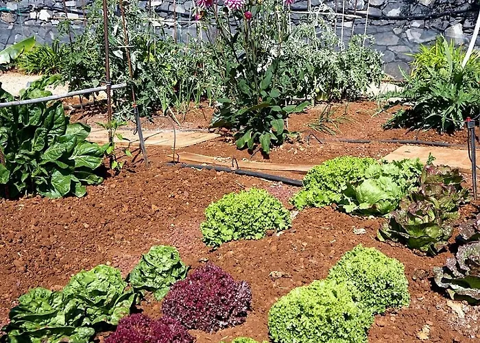 El Vinche Διαμέρισμα *