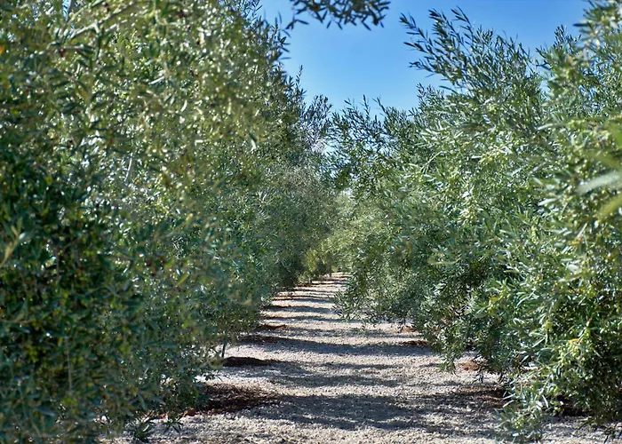 Appartement El Vinche