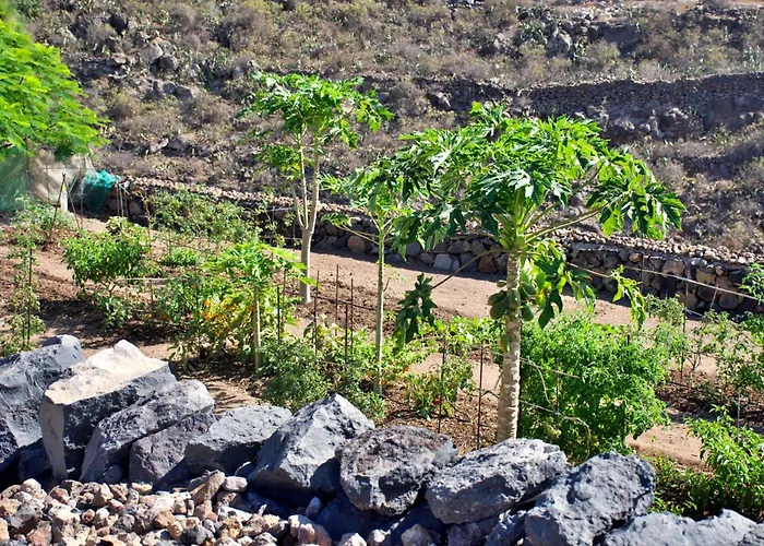 El Vinche Διαμέρισμα *